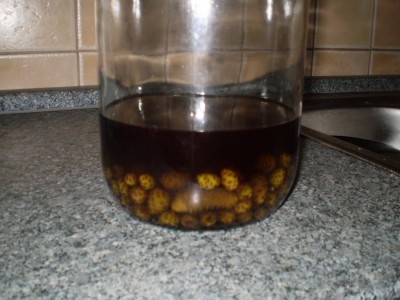 rr.JPG (166.76 KiB) Zobrazeno 2348 x rr.JPG