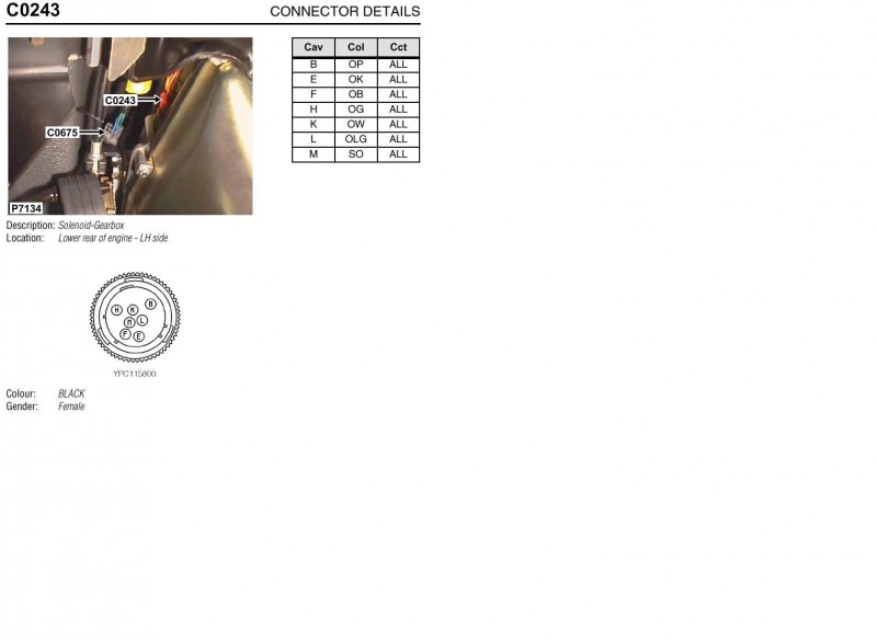 EAT solenoids plug.JPG