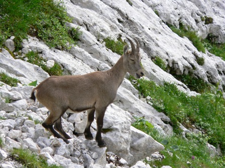 ..tady se i chechta.JPG