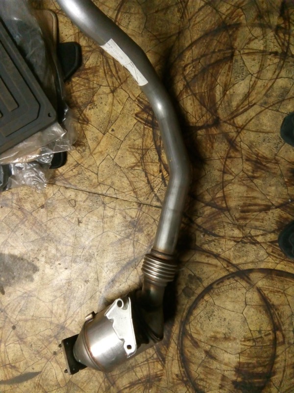 Kat Def WCD501910.jpg