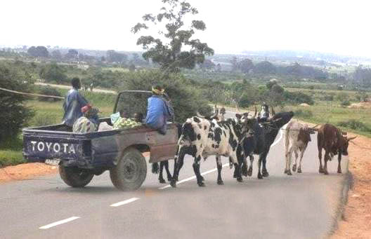 Nesmrtelná toyota