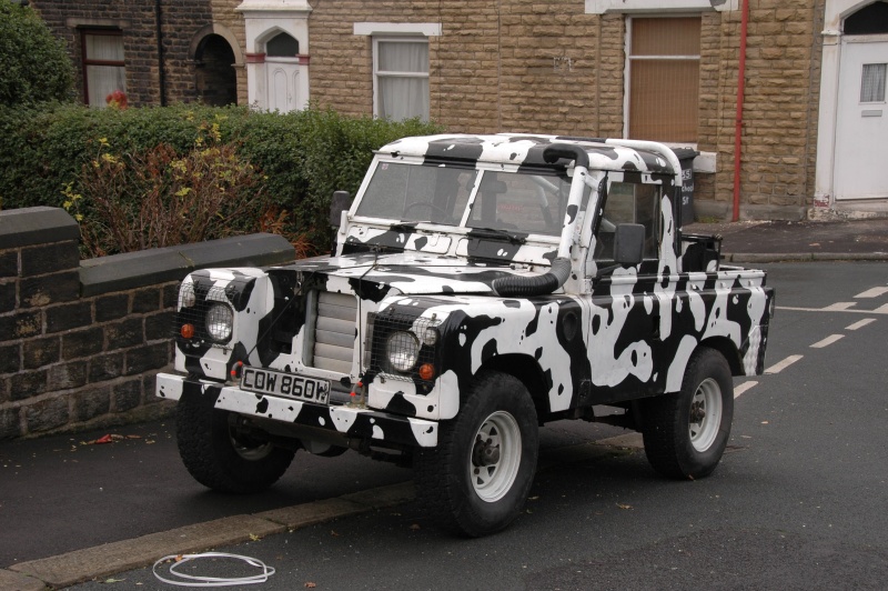 DSC_0736.jpg