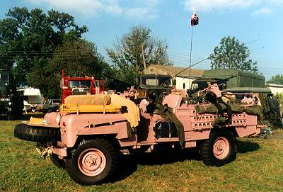 Pink_panther3.jpg