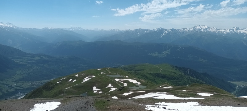 20230707_110331.jpg