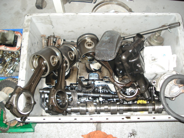 DSC03113.JPG