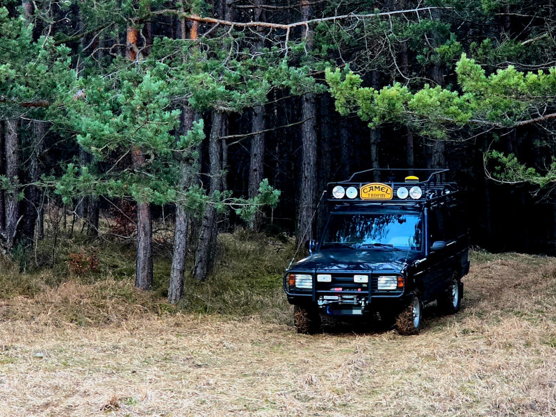 20260227_171916 (1).jpg