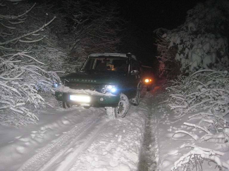 lesem_z_prace2010 (12)m.JPG