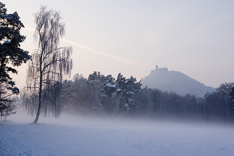 _MG_6970x.JPG