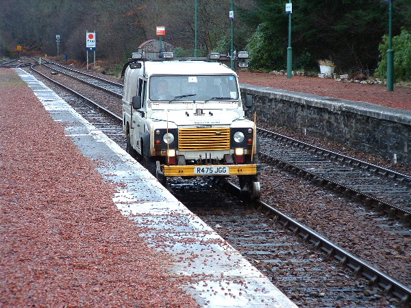 1154.jpg