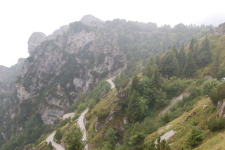 DSC_08410012.JPG