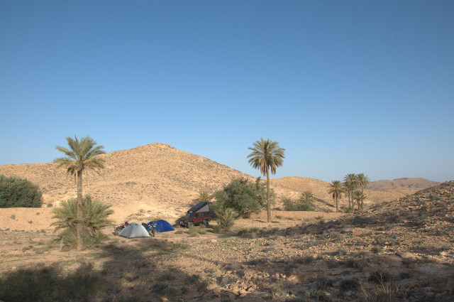 DSC_0484.NEF.JPG