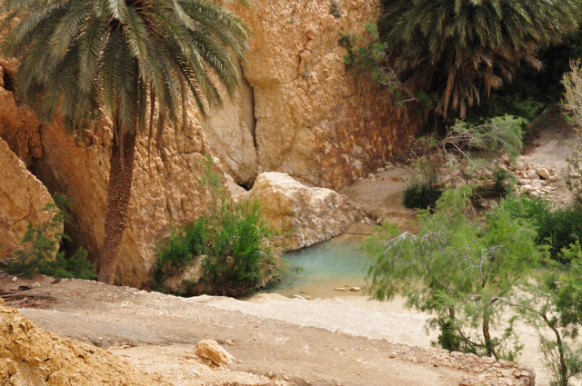 DSC_1360.JPG