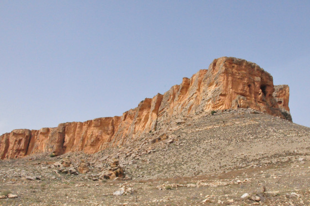 DSC_1603.JPG