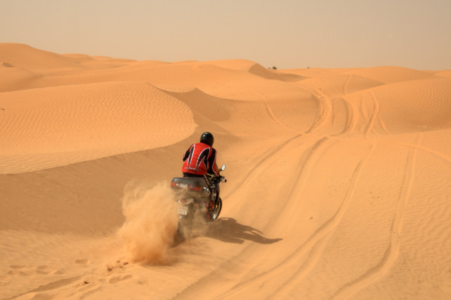 DSC_1191.NEF.JPG