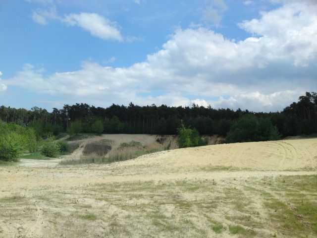 sahara07.jpg