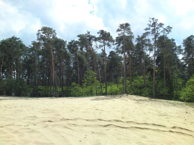 sahara08.jpg