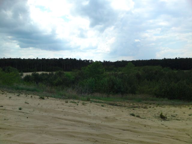 sahara09.jpg