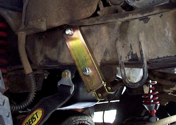 steer1.jpg