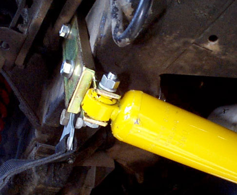steer4.jpg