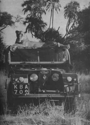 G_Adamson_LR_1.jpg