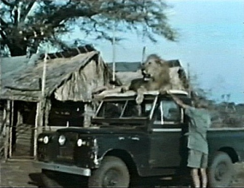 G_Adamson_LR_2.jpg