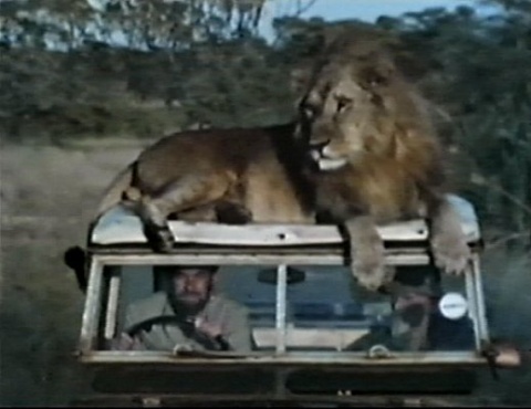 G_Adamson_LR_3.jpg