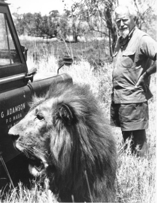 G_Adamson_LR_7.jpg