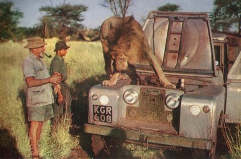 G_Adamson_LR_11.jpg
