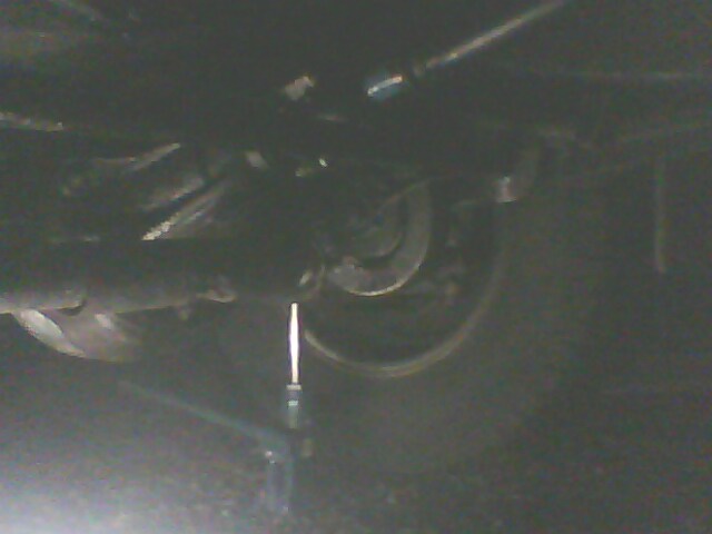 IMG0100A.jpg