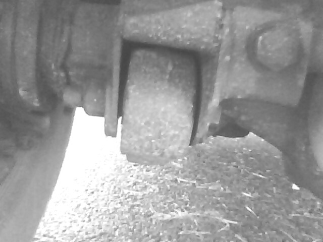 IMG0102A.jpg
