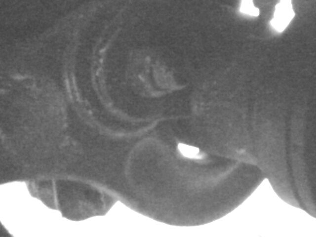 IMG0107A.jpg