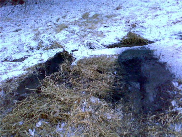 Kopie - 160220081360.jpg