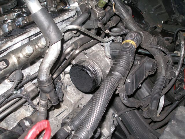PA042003.JPG