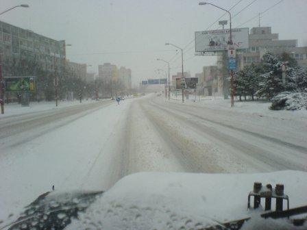 DSC00446.JPG