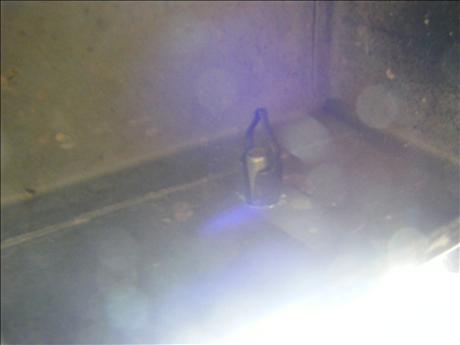 DSCF1391.jpg