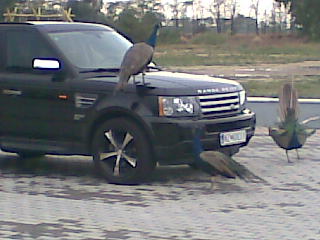Obraz055.jpg
