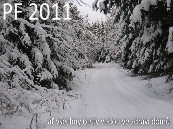 PF2011_1.jpg