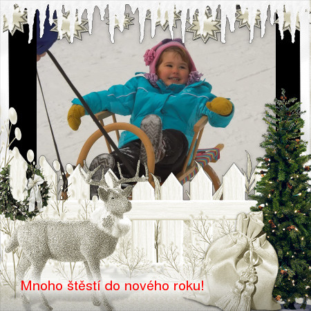 novy rok.jpg