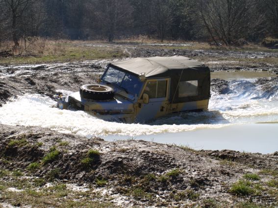 wm9.jpg