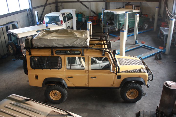 camel09.jpg