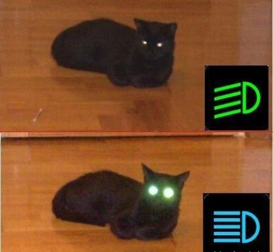 Mici.jpg