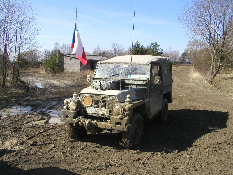 P3150040.jpg