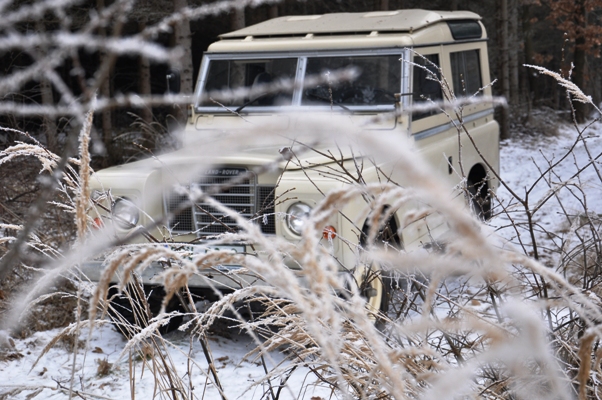 DSC_0751m.JPG