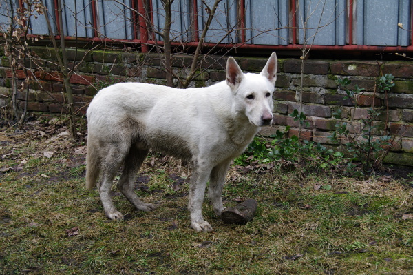 IMGP3941.JPG