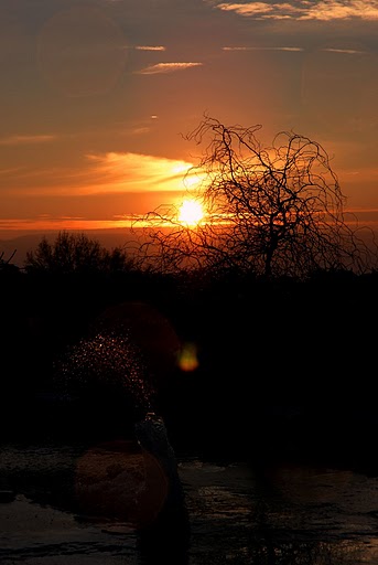 DSC_0275.JPG