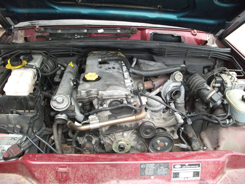 DSCF0338.JPG