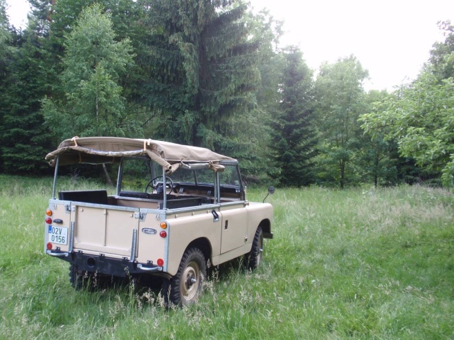 P6040202 (1).jpg