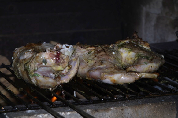 IMGP7029.JPG