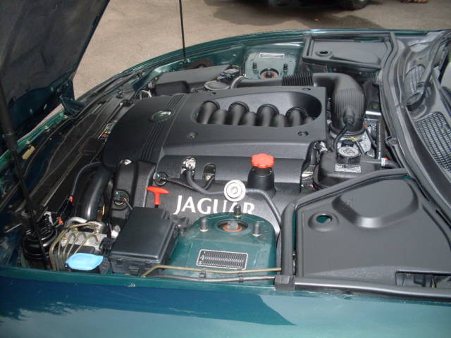 Jaguar 9.jpg