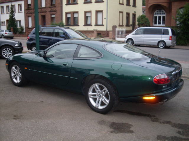 Jaguar 11.jpg